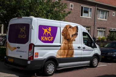 KNGF Van Şirketi Amsterdam 'da 13-7-2022