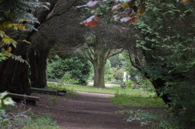 Amsterdam 'daki Nieuwe Ooster Mezarlığı Yolu 23-5-2022