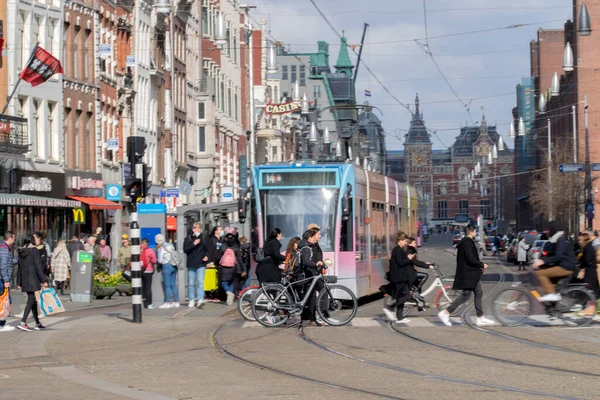 People Crossing Zebra Crossing Amsterdam Netherlands 2022 — Stock fotografie