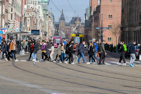 アムステルダムでのゼブラ交差点を横断する人々オランダ14 2022 — ストック写真