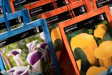 Amsterdam 'da Çiçek Torbası Satmak 28-6-2022