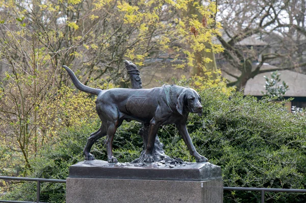 Estátua Twee Jachthonden Amsterdã Holanda 2022 — Fotografia de Stock