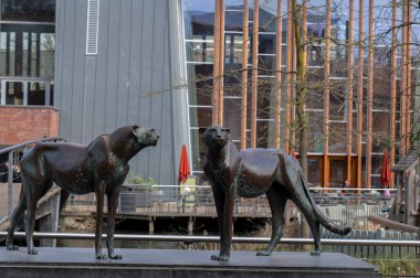 Amsterdam 'daki Artis Hayvanat Bahçesinde İki Çita Heykeli 28-3-2022