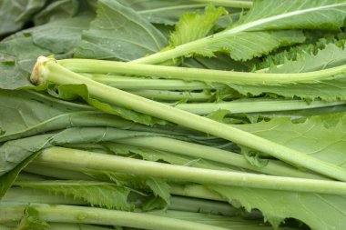 Amsterdam 'da Bir Amsoi Sebzesinin Kapanışı 27-5-2023