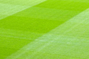 Amsterdam 'daki Yeşil Çimen Sahasının Kapanışı Hollanda 21-9-2022