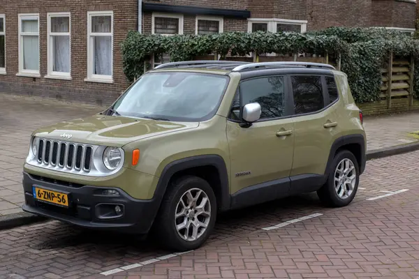 Amsterdam 'da Cip Hain Hollanda 1-4-2024