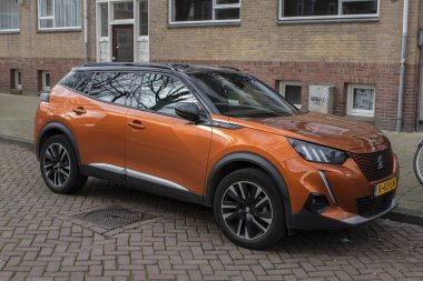 Peugeot 2008 GT Amsterdam 'da Hollanda 15-3-2024