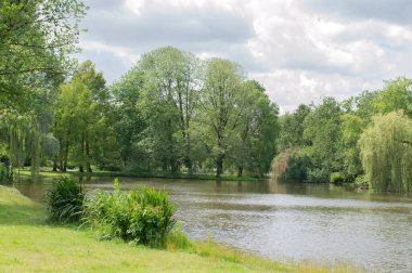 Amsterdam 'daki Oosterpark Parkının İçindeki Gölet Hollanda 12-6-2024