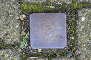 Amsterdam 'daki Sara Van Thijn-Pachter' dan Stolperstein Anıt Taşı 21-3-2024