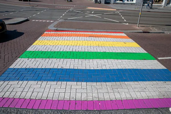 Amsterdam 'da Gökkuşağı Zebra Geçidi 20-7-2024 Hollanda