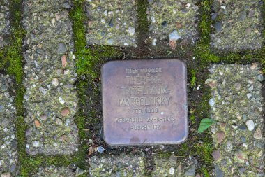 Amsterdam 'daki Teitelbaum-Margolinsky' den Stolperstein Anıt Taşı 21-3-2024