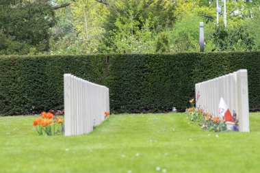 Amsterdam 'daki Nieuwe Ooster Mezarlığı' ndaki Eyalet Savaş Mezarlığı 'nda İki Mezar Satırı Hollanda 18-4-2020