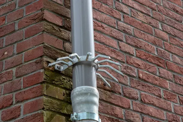 stock image Close Up Of A Downpipe Guard At Amsterdam The Netherlands 6-5-24