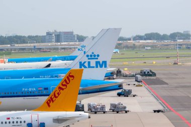 Schiphol Havaalanı 'ndaki Pegasus ve KLM Tailplanes. Hollanda 29-8-2024.