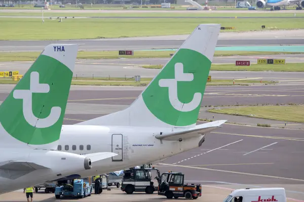 stock image Tail Wings Of A Transavia Plane At Schiphol The Netherlands 29-8-2024