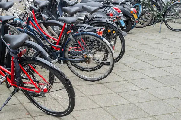 Amsterdam 'da Bisiklet Tekerleklerini Kapat Hollanda 25-10-2024