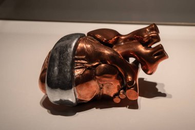 Hollanda, Amsterdam Wereldmuseum 'daki Dil veya Heykel 18-2-2025