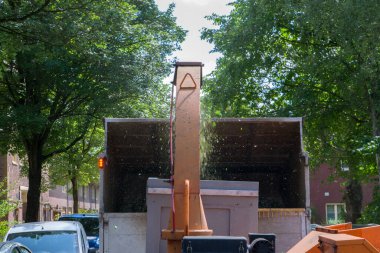 Branch Shredder Amsterdam 'da Hollanda 2-6-2025