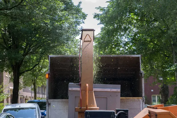 Branch Shredder Amsterdam 'da Hollanda 2-6-2025