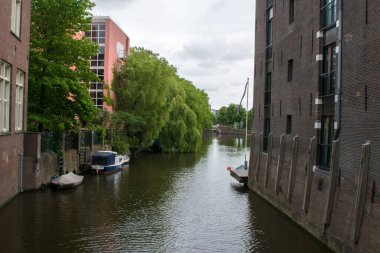 Amsterdam Paerlduiker Köprüsü 'nden Hollanda 5-6-2025