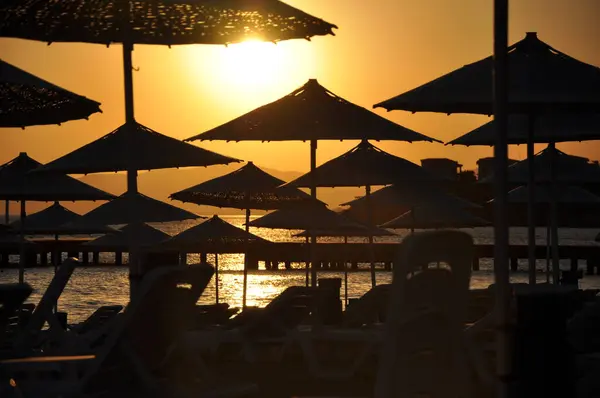 Gün batımında kumsalda şemsiyeler