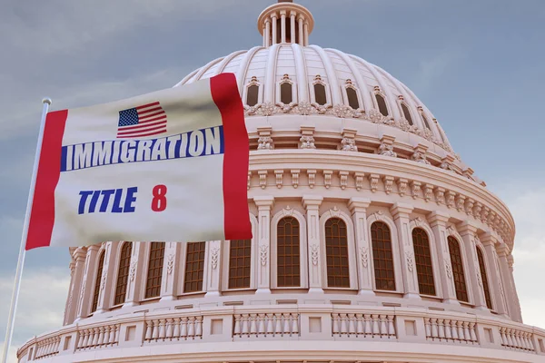 Amerika Birleşik Devletleri 'nin güzel bayrağı güçlü rüzgarla dalgalanan 8 Göçmen Bürosu ve arkasında da Capitol USA 3D RENDER.
