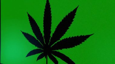 Kenevir ya da marihuana sembolü ile sallanan yeşil bayrağın güzel bir temsili.
