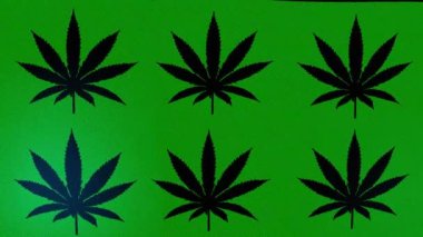 Kenevir ya da marihuana sembolü ile sallanan yeşil bayrağın güzel bir temsili.