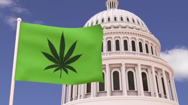 Kanabilerin güzel bayrağı, marihuana, ot, esrar güçlü rüzgarla dalgalanan ve arkasında Amerika Birleşik Devletleri 'nin kubbesi.