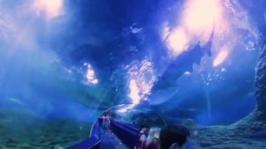 Perth, Batı Avustralya / Avustralya - 23 / 01 / 2013: Batı Avustralya 'nın AQWA Akvaryumu, 91 Southside Dr, Hillarys WA 6025, Perth Australia.