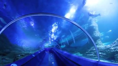 Perth, Batı Avustralya / Avustralya - 23 / 01 / 2013: Batı Avustralya 'nın AQWA Akvaryumu, 91 Southside Dr, Hillarys WA 6025, Perth Australia.