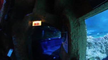 Perth, Batı Avustralya / Avustralya - 23 / 01 / 2013: Batı Avustralya 'nın AQWA Akvaryumu, 91 Southside Dr, Hillarys WA 6025, Perth Australia.