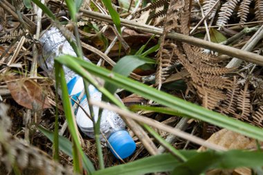 Tek kullanımlık plastik şişe ormanda yere bırakılmış.