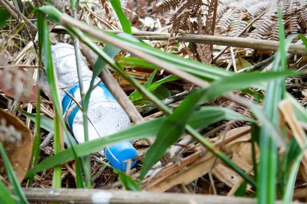 Tek kullanımlık plastik şişe ormanda yere bırakılmış.