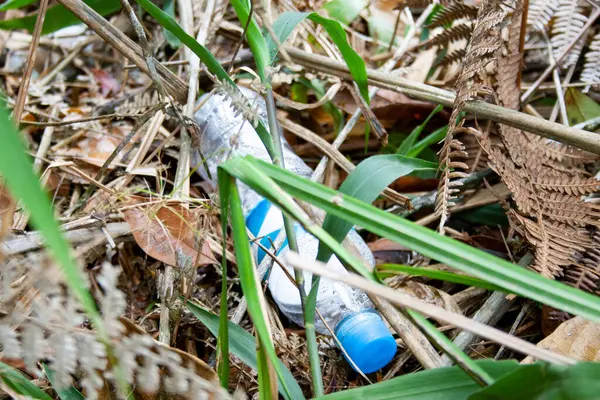 Tek kullanımlık plastik şişe ormanda yere bırakılmış.