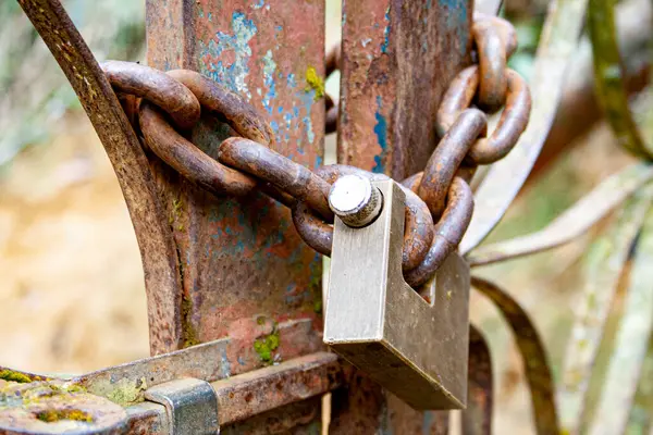 Dağlık ormanda asma kilit ve zincir ile aşınmış bir çitin yakın plan detayları..