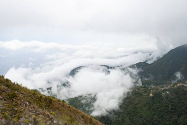 Picacho de Galipan El Avila Waraira Repano Caracas Venezuela 'dan deniz manzarası etkileyici..