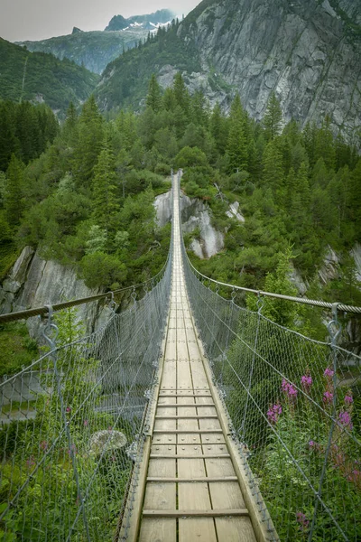 Suspension Bridge Close Grimselpass Swiss Alps Switzerland Rechtenvrije Stockfoto's