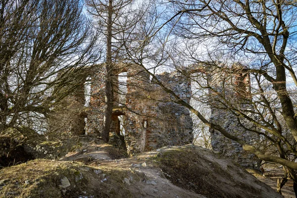Ruins Pajstun Castle Located Small Village Borinka Slovakia — Foto de Stock