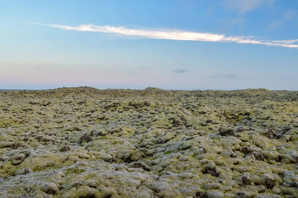 Lava Fields Everywhere You Look Eldhraun Iceland Stock Picture