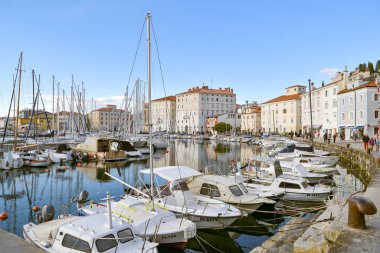 Piran, Slovenya - 9 Nisan 2023: güneşli bir günde Slovenya 'nın Piran kentindeki güzel limana bakın