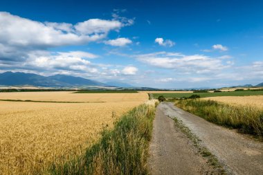 Slovakya 'nın Liptov bölgesindeki Batı Tatras manzaralı tarlalarda güzel bir yürüyüş yolu.