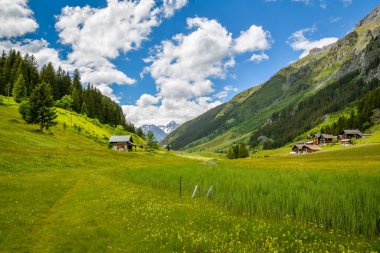 Bristen, İsviçre - 13 Haziran 2020: Güneşli bir günde İsviçre 'nin Bristen kentinde Golzerensee Gölü yakınlarındaki güzel ahşap evler