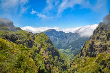 Portekiz, Madeira 'da Vereda çevresindeki güzel yeşil doğa yürüyüş parkurları.