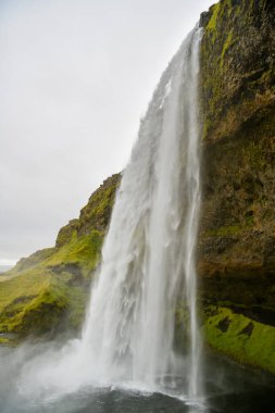 İzlanda 'nın güney bölgesinde 60 metre yüksekliğinde Seljalandsfoss şelalesi
