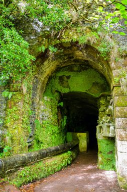 Entrance to 800 meter long dark Calhetta tunnel in the beginning of Levada das 25 Fontes hike in Madeira clipart