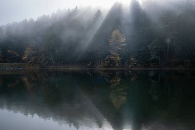 Stiavnica Dağları 'ndaki su deposu Klinger, Slovak Cumhuriyeti. Mevsimsel doğal sahne. Yürüyüş teması.