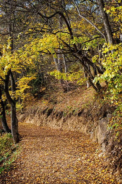 Stiavnica Mountains Autumn Scenery Slovak Republic Travel Destination — Stock Photo, Image