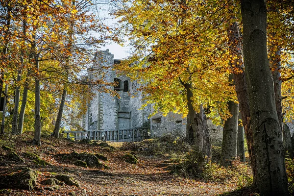 ウフロベツ城の遺跡 Strazov山 スロバキア共和国 目的地へ 建築のテーマ — ストック写真
