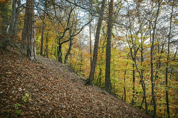 Góry Strazov Republika Słowacka Sezonowa Scena Naturalna Cel Podróży — Zdjęcie stockowe